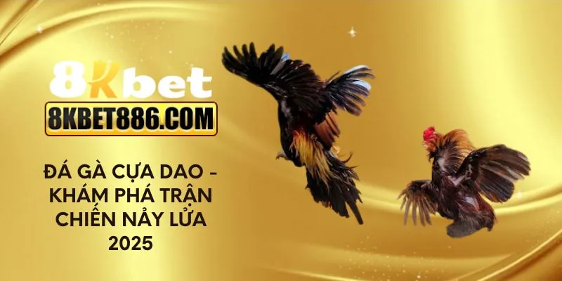 Đá gà cựa dao - Khám phá trận chiến nảy lửa 2025