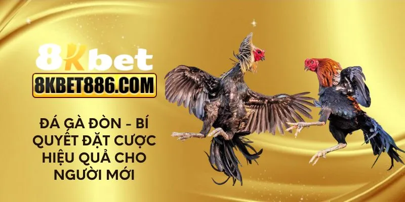 Đá gà đòn - Bí quyết đặt cược hiệu quả cho người mới