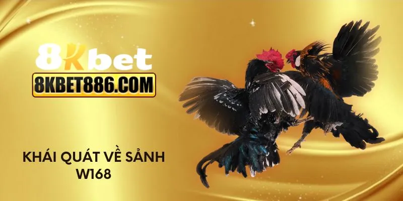 Khái quát về sảnh W168