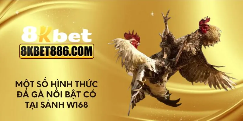 Một số hình thức đá gà nổi bật có tại sảnh W168