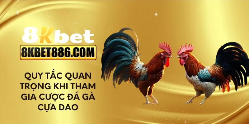 Quy tắc quan trọng khi tham gia cược đá gà cựa dao