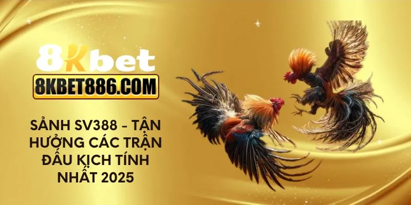 Sảnh SV388 - Tận hưởng các trận đấu kịch tính nhất 2025