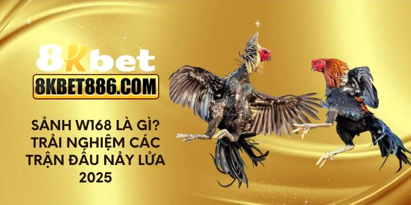 Sảnh W168 là gì? Trải nghiệm các trận đấu nảy lửa 2025