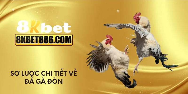 Sơ lược chi tiết về đá gà đòn