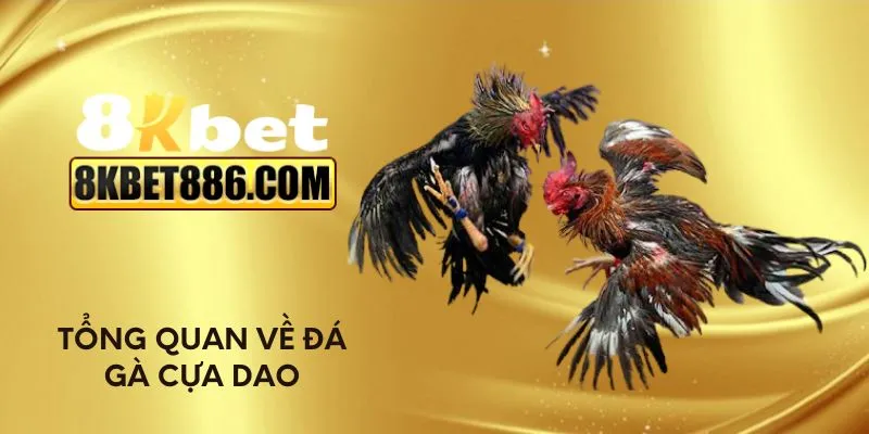 Tổng quan về đá gà cựa dao
