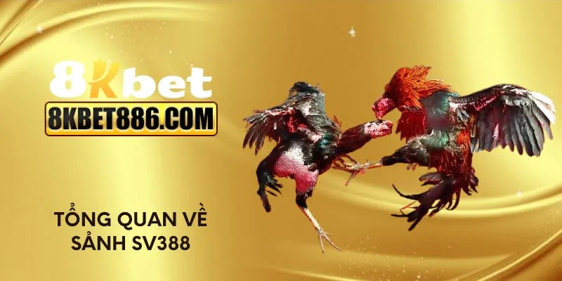 Tổng quan về sảnh SV388