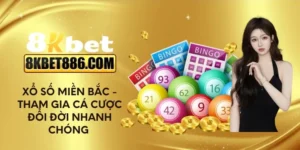 Xổ số miền Bắc - Tham gia cá cược đổi đời nhanh chóng
